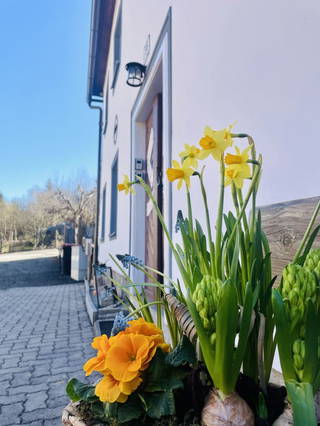 Haus Erna aus Unserfrau-Altweitra