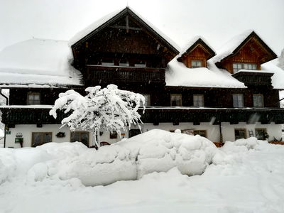 Bild 46 aus Auerhof