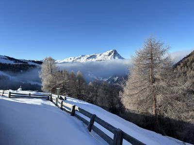 Bild 140 aus Riatschhof