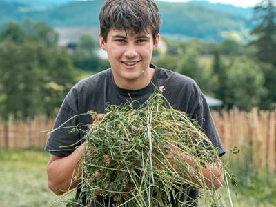 Bild 25 aus  Pircherhof - Adults Only am Biobauernhof