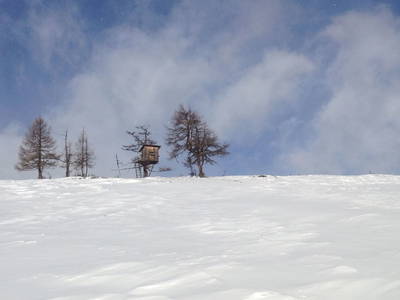 Bild 80 aus  Biohof Seidl