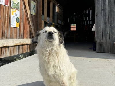 Bild 11 aus  Impuls Hof - Unterhegerberg