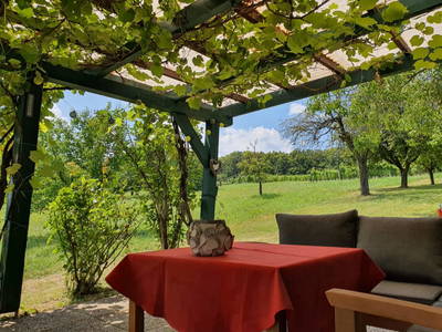 Bild 43 aus  Susi's Kellerstöckl