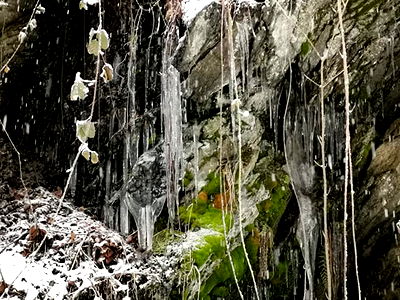 Bild 22 aus Auszeithof Drion