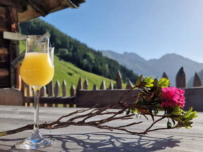 Bild 31 aus  Ausserwieserhof Kaser