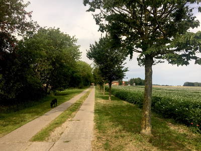 Die Dorfstraße zu uns