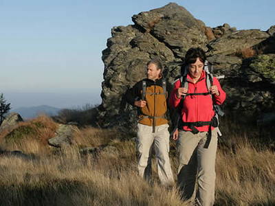 Bild 25 aus  natürlich urlauben - Bauernhof Gründinger