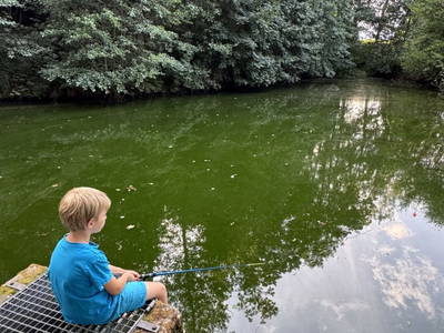 Bild 94 aus  Matlhof