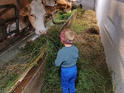 Bild 156 aus  Naturparkbauernhof - Kaiserhof