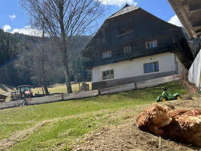 Bild 131 aus Glatz Hof