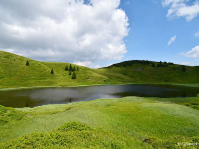 Bild 58 aus  Ferienhof Sturm