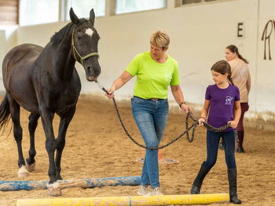 Bild 87 aus  Reiterhof Pfleger