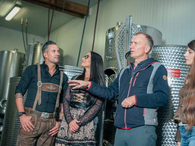 Bild 186 aus  Winzerhof Küssler, Weinviertel