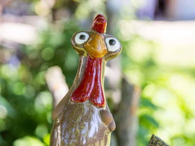 Bild 182 aus  Miniponyhof Wild