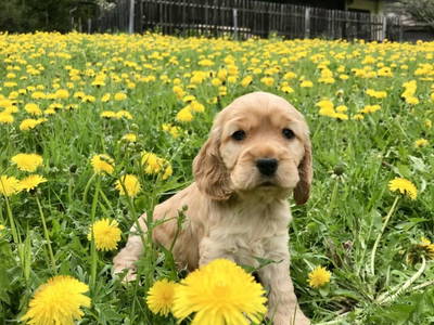 Bild 9 aus  Umundum Hütte