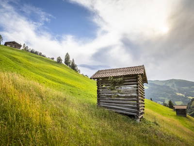 Bild 124 aus  Wandlehenhof