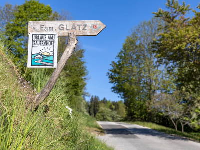 Bild 11 aus  Bauernhof Seppl am Berg
