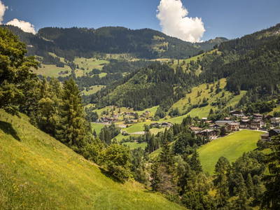 Bild 61 aus  Schaidreithof