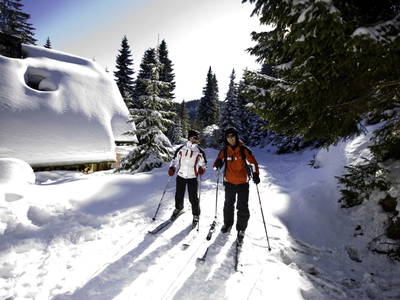 Bild 128 aus  Bischofhütten