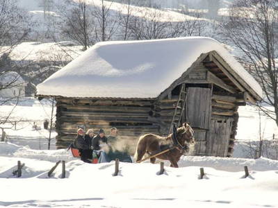 Bild 33 aus  Zillerlehen