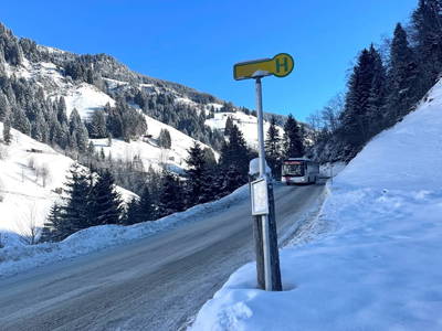 Bild 137 aus Berglodge Grossarl