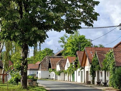 Bild 56 aus Ferienhaus Weinviertel