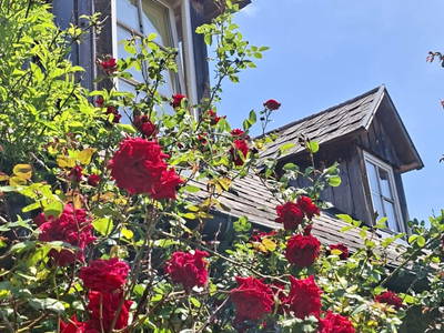 Bild 24 aus  Ferienhaus Plessberg