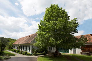 Sitzwohl - das Kleinod am Lindenhof - Unser Lindenhof