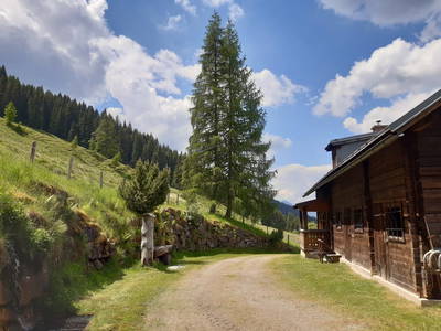 Bild 46 aus  Ransburggut Almhütte