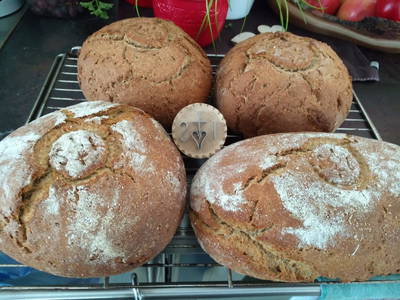 Bild 47 aus  Anderlbauer