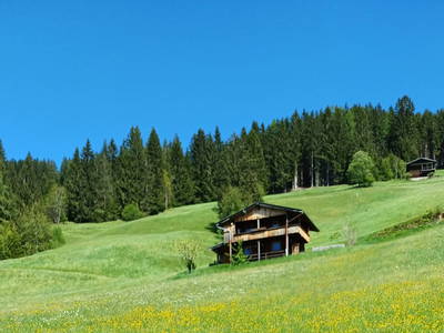 Bild 2 aus Berghütte Boid