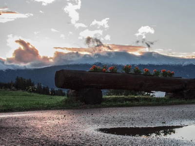 Bild 83 aus  Pöllauerhof