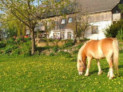 Bild 3 aus  Gottelhof