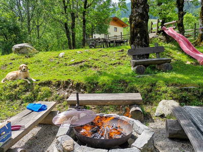 Bild 146 aus  Bio Naturhof Ottingerhof