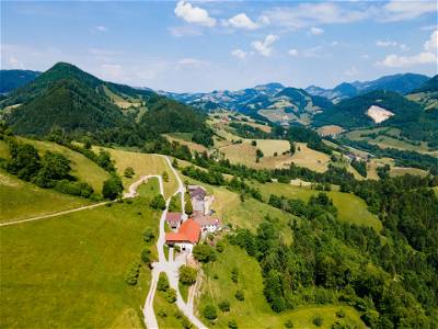 Bild 4 aus TESTHOF Oberösterreich