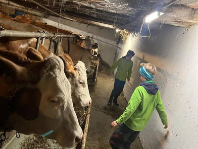 Bild 155 aus  Naturparkbauernhof - Kaiserhof