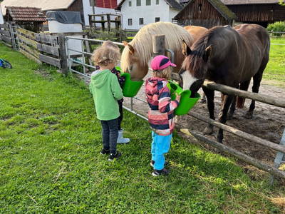 Bild 7 aus  Rutarhof
