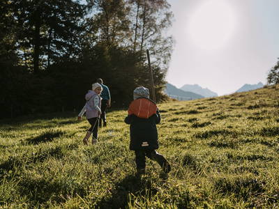 Bild 5 aus  Gasperhof