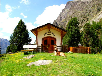 Bild 57 aus Appartementhaus Karlspitze Natur Pur