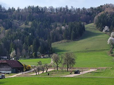 Bild 12 aus  Sebaldus Camping - Bio-Bauernhof Grubbauer
