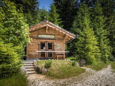 Bild 128 aus  Bachrain - Bio am Berg 