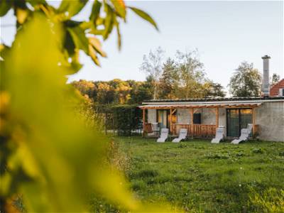 Bild 18 aus Monschein Demeterweingut