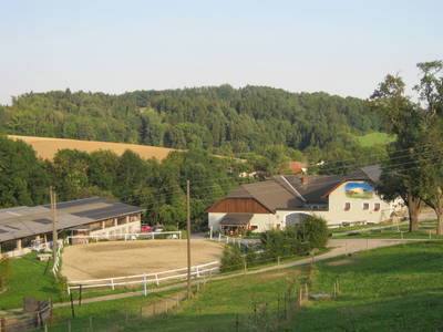 Bild 2 aus  Reiterhof Pfleger