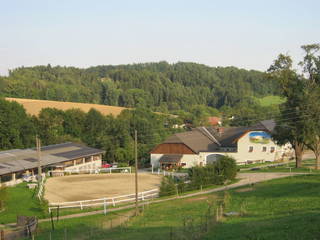Reiterhof Pfleger aus Feldkirchen an der Donau