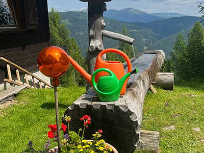 Bild 67 aus Neuwirth Hütte