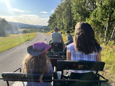 Bild 108 aus  Wittinghof