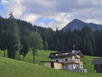 Bild 7 aus  Peterlehen