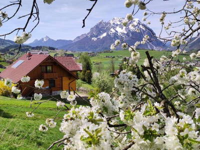 Bild 2 aus  Pferdehof Gugganig