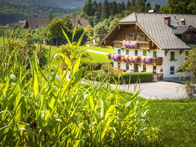 Bild 6 aus  Klinglerbauer