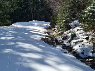 Bild 46 aus  Almferienhaus Truskaller